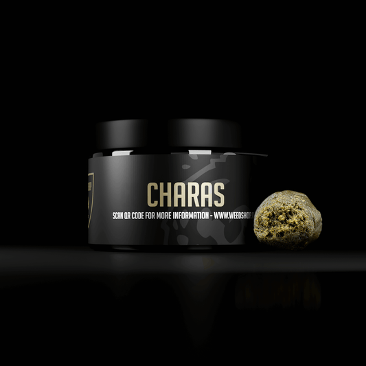 Charas - 24% THCA