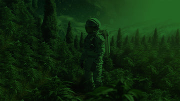 thg-banner.jpg
