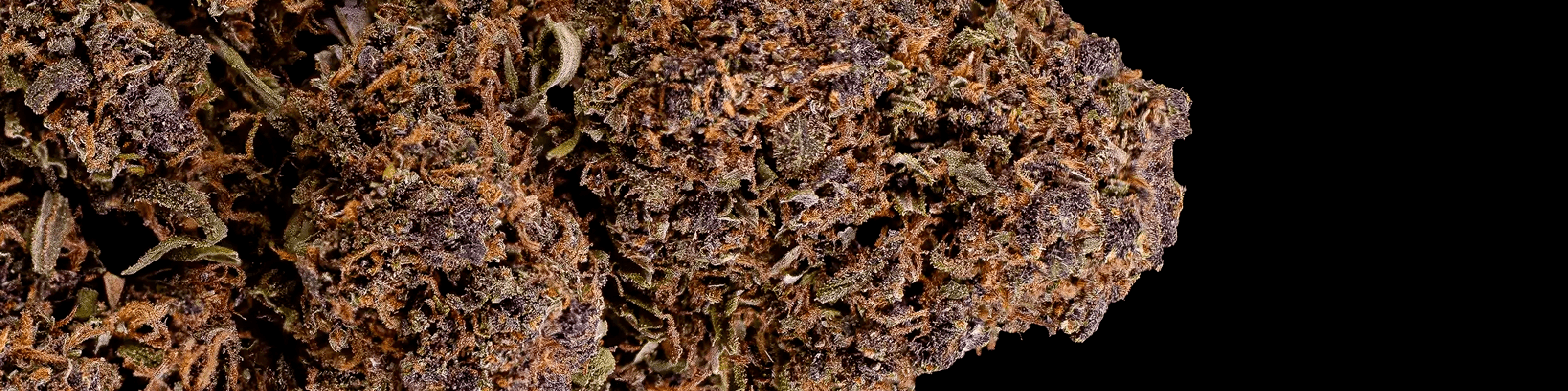 Close-up of CBD-rich cannabis flower with muted green tones and fine crystal coverage.