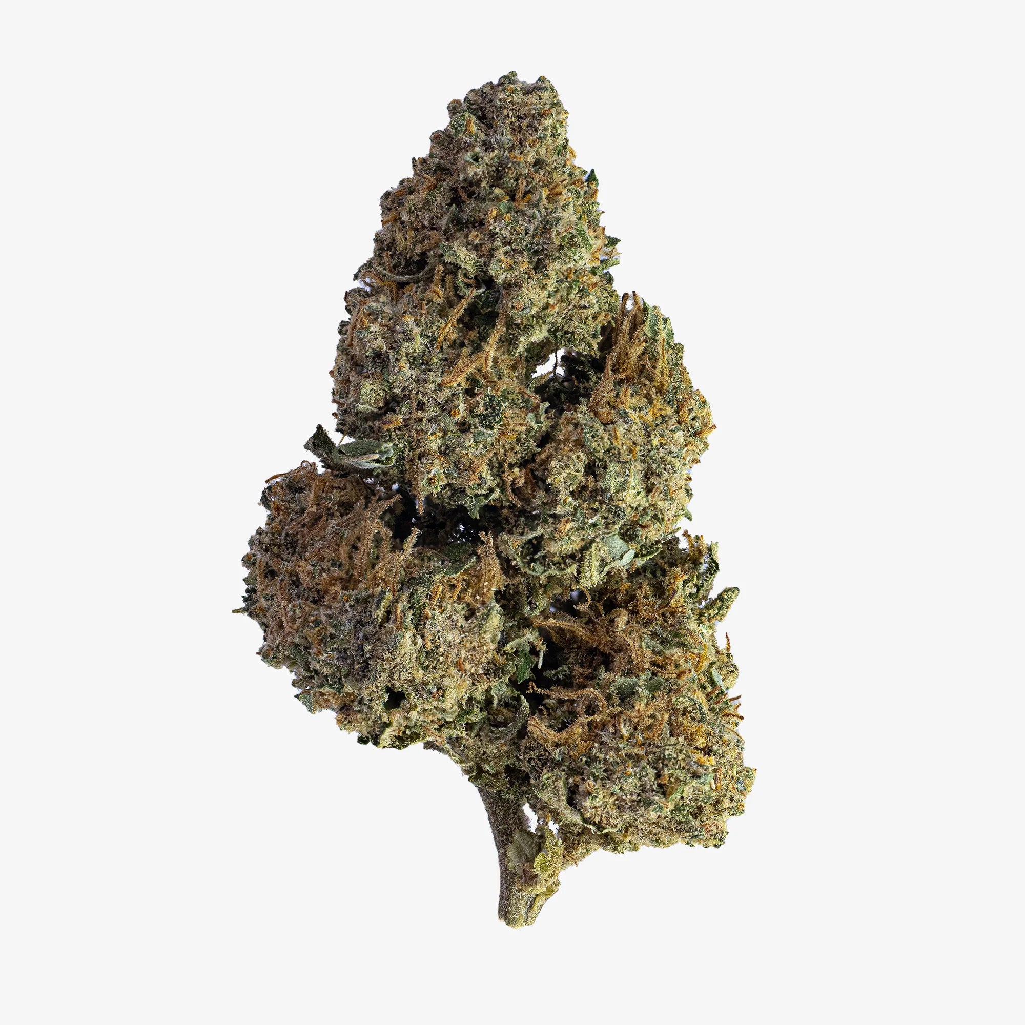 Kush