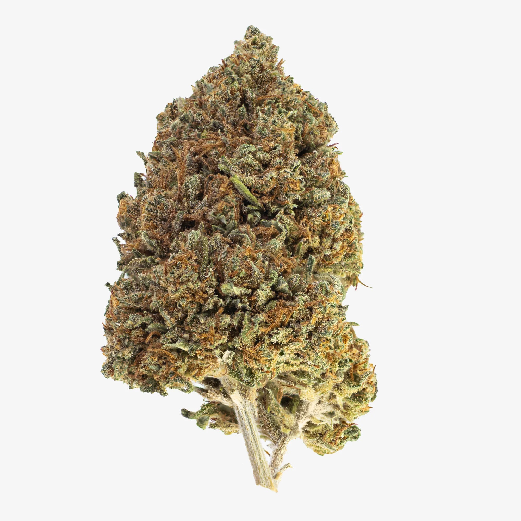 Skunk