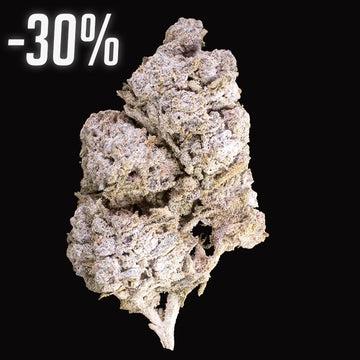 Half Baked - 24% THCA