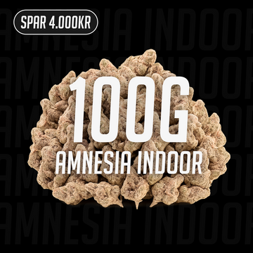 Amnesia Indoor - 23% THCA 100g