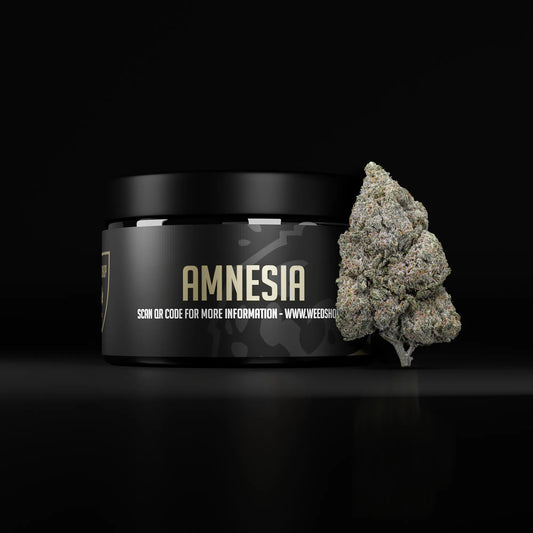 Amnesia - 18% THCA