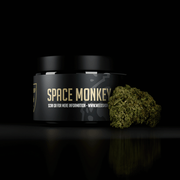 Space Monkey - 7% HHC-P