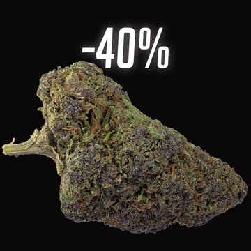 Chronic Haze - 14% CBD