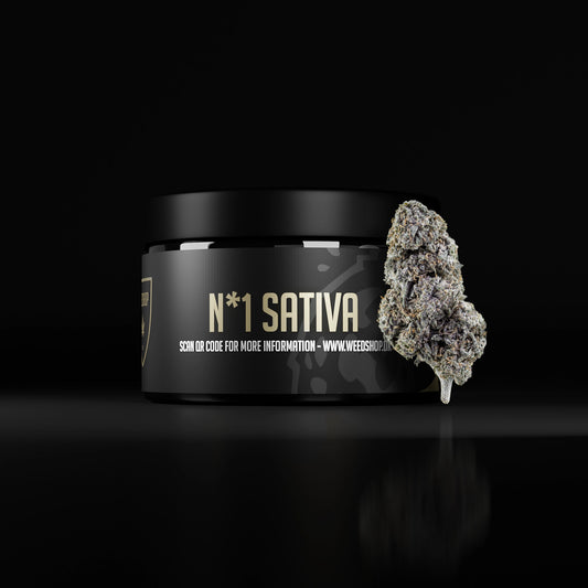 N*1 Sativa + Magic Blaze