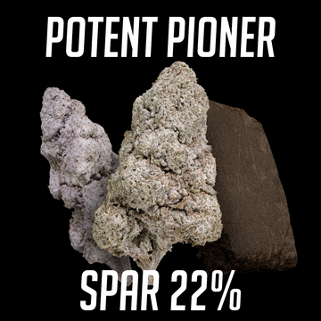 Potent Pioner