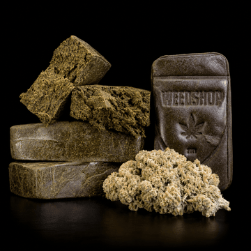 Amnesia Indoor, Luksus Klump and Manali Cream THCA bundle