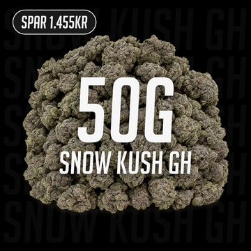 Snow Kush GH - 23% THCA 50G