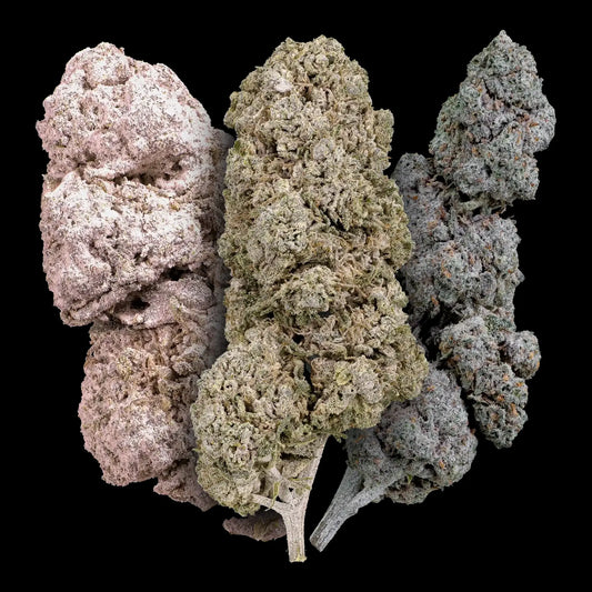 weedshop starterpack trio buds thca