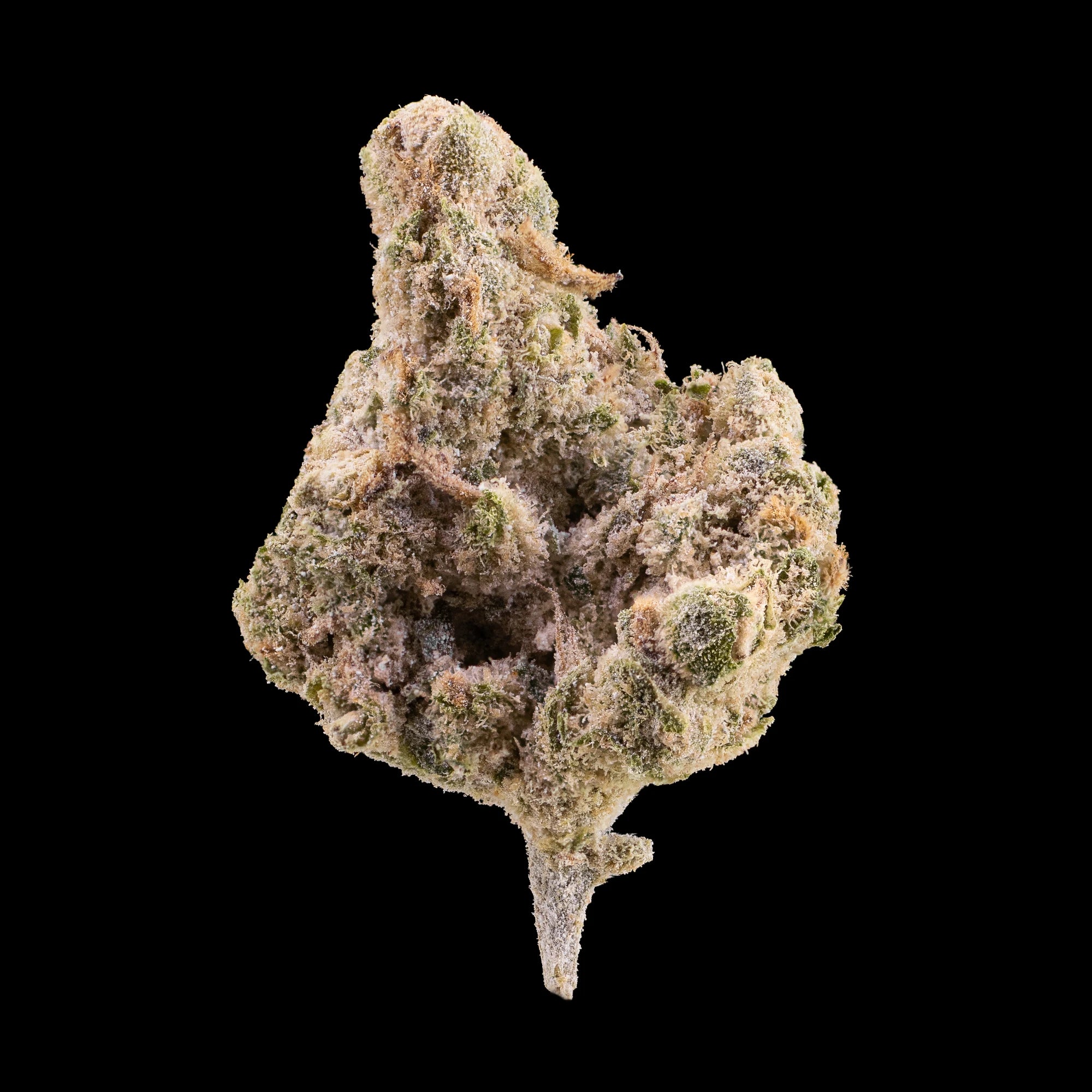 Amnesia Indoor - 23% THCA