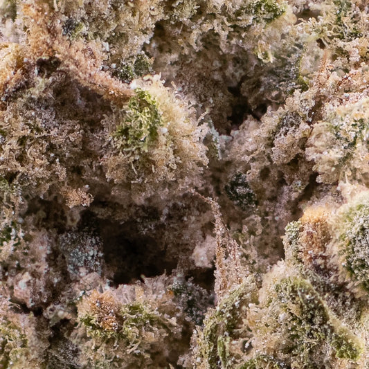 weedshop amnesia thca bud macro closeup trichomes