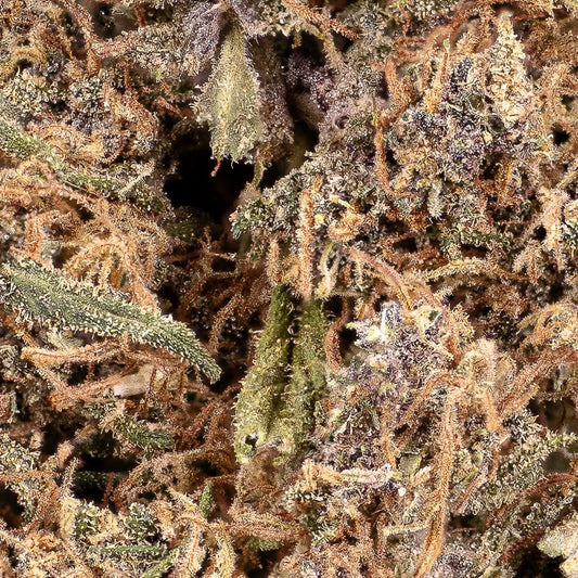 weedshop sundae diver topskud closeup
