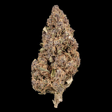 weedshop sundae diver topskud