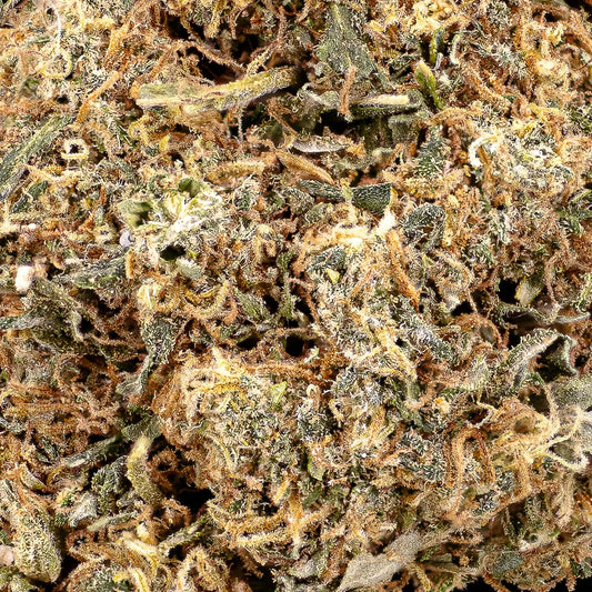 weedshop Groovy Ganja topskud closeup