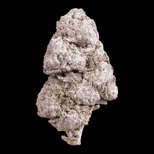 Santa’s Secret Stash – Limited Julebundle