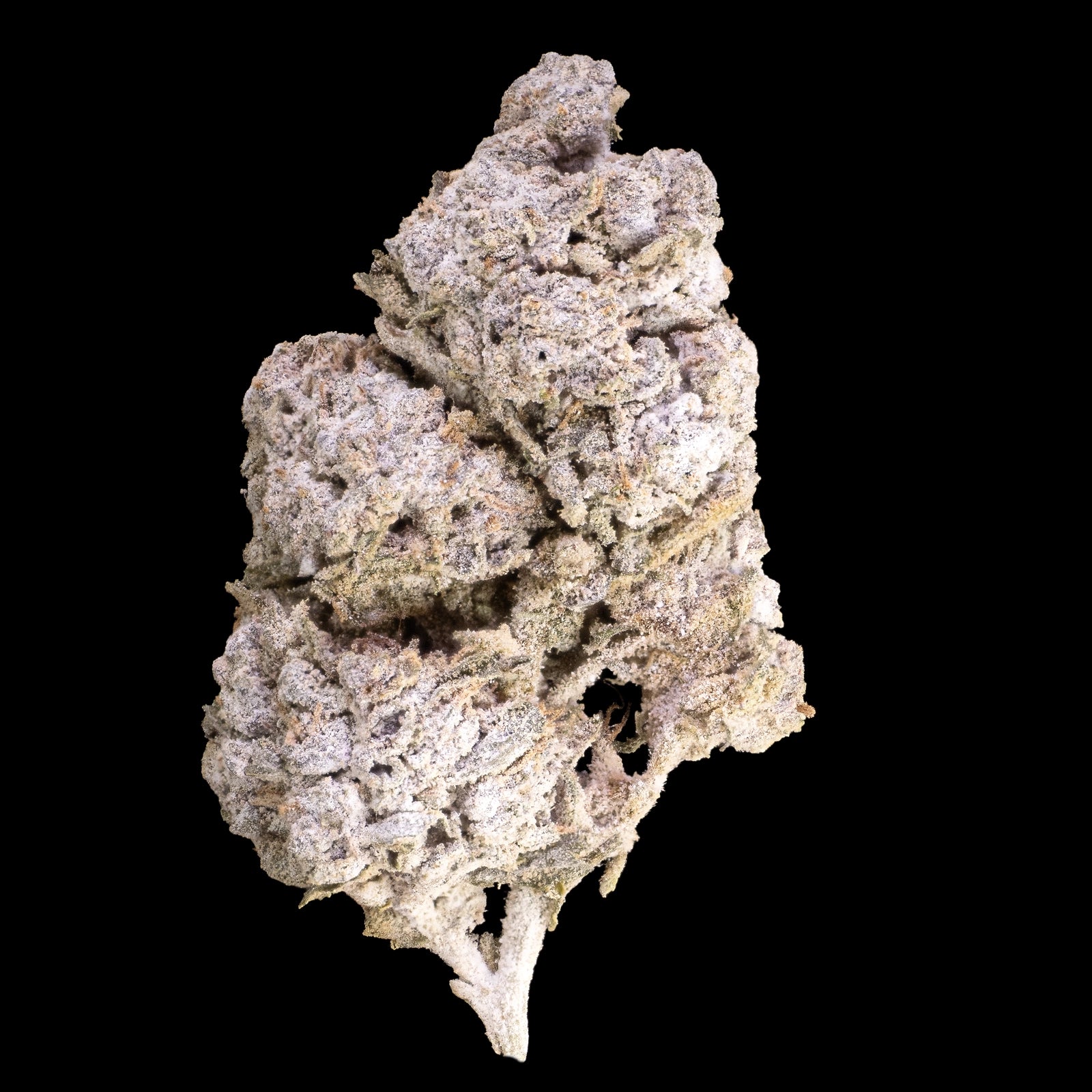 Half Baked - 24% THCA