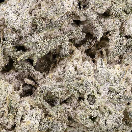 weedshop kinky kush thca bud macro trichome closeup shot