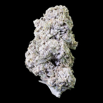 LA Push Pop 27% THCA med massiv trichome-dækning