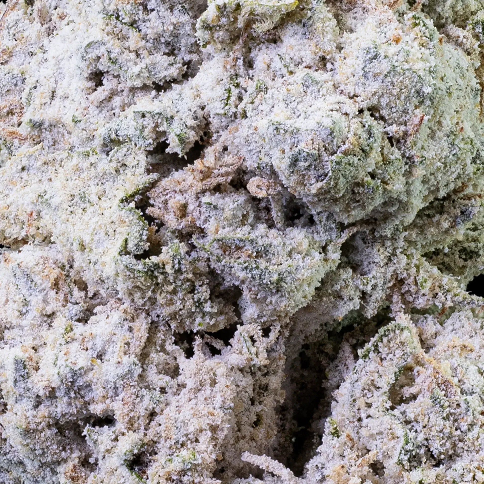 Close-up of frosty Lemon O.G. 27% THCA bud with dense trichome coverage