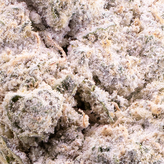 weedshop magic blaze thca bud macro shot trichomes
