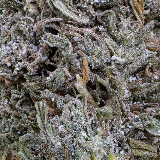 N*1 Sativa - 18% THCA