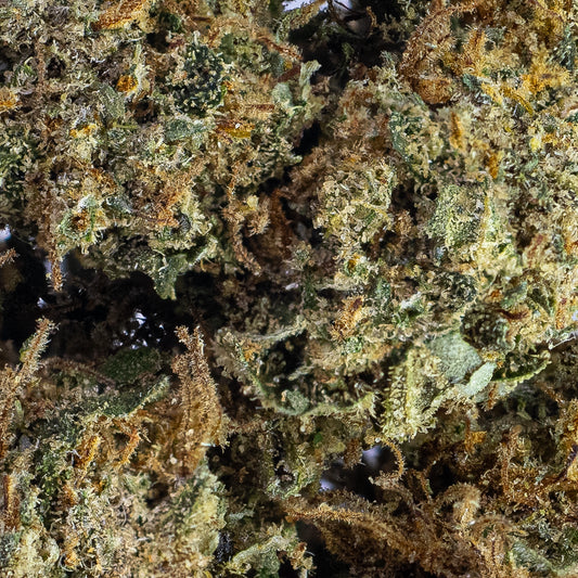 O.G. Kush - 15% CBD