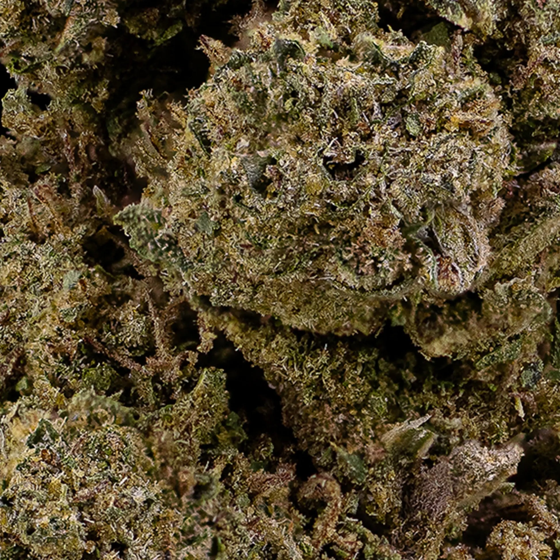 weedshop O.G. Kush topskud closeup