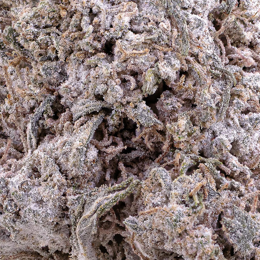 weedshop Odense O.G. topskud closeup