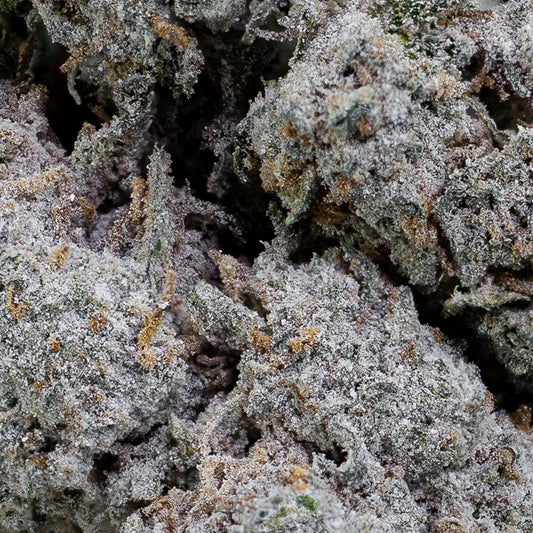 Papaya Runtz - 22% THCA