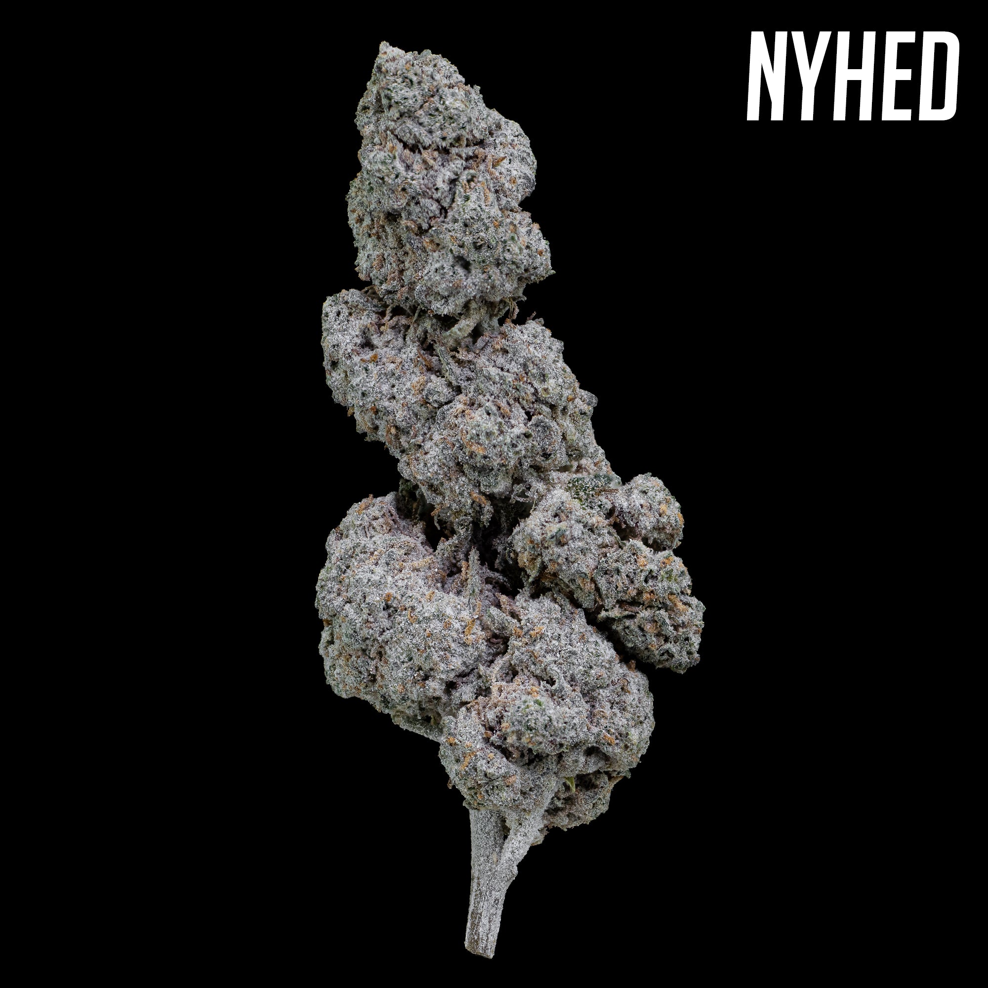 Papaya Runtz - 22% THCA