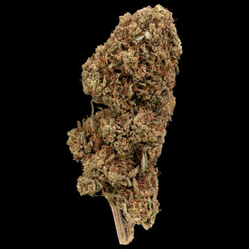weedshop Pineapple Express topskud