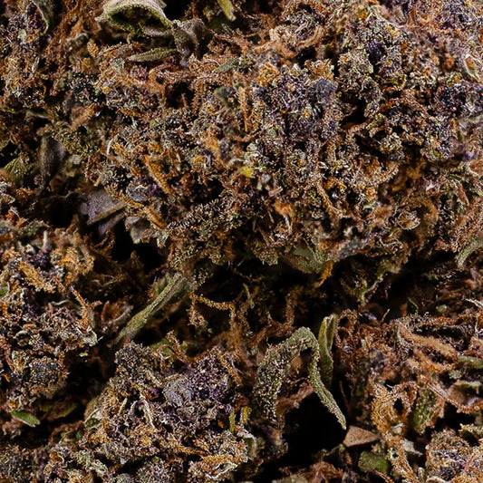 weedshop Purple Puff topskud closeup