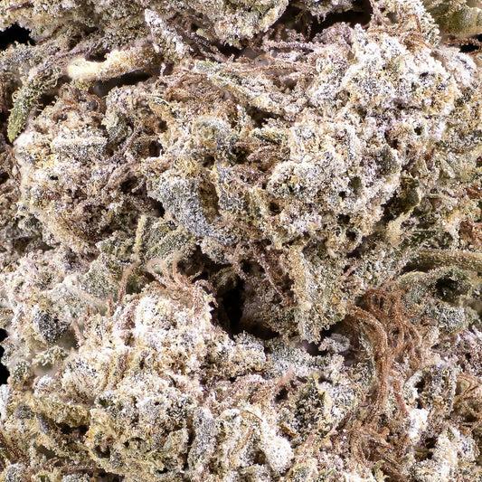 weedshop royal gorilla thca bud macro trichome shot