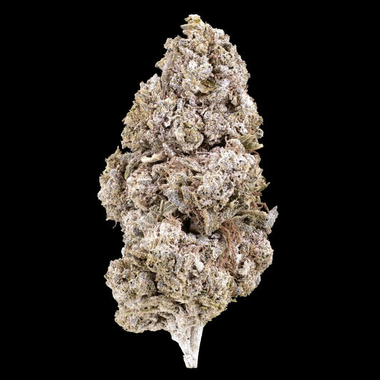 weedshop royal gorilla thca bud