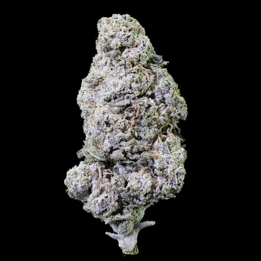Royal Gorilla 27% THCA med kraftig trichome-dækning