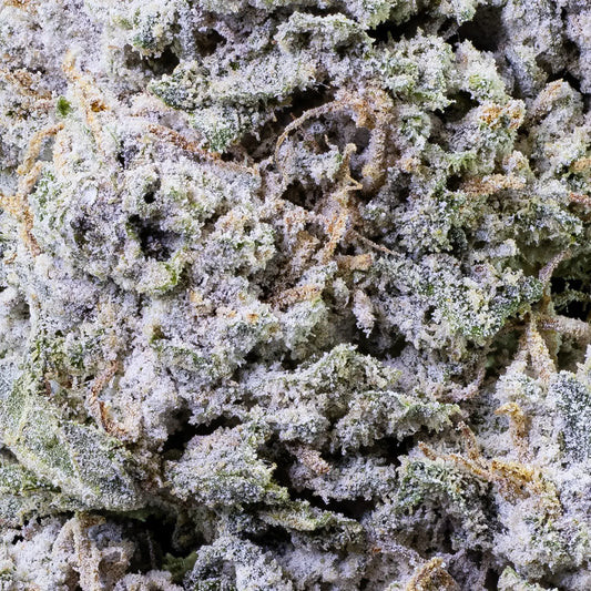 Frostet Royal Gorilla THCA topskud