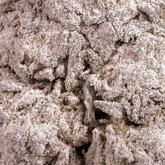 weedshop skunk 1 thca bud closeup macro shot trichomes