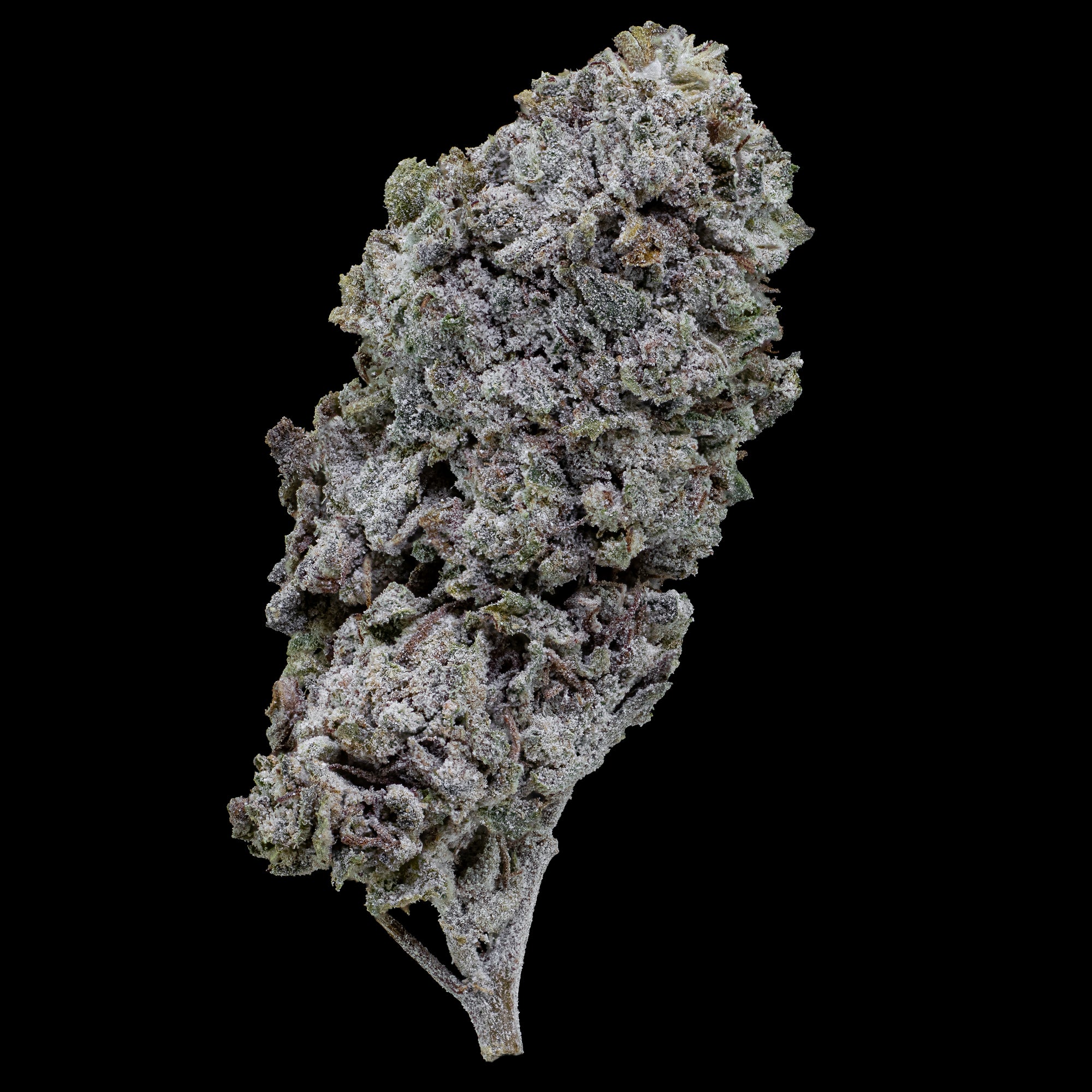 Snow Kush Glasshouse - 23% THCA