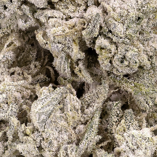 weedshop stockholm special thca bud