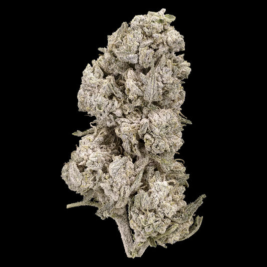 weedshop stockholm special thca bud