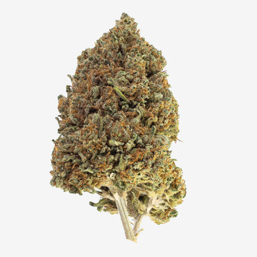 Pineapple Express - 14% CBD