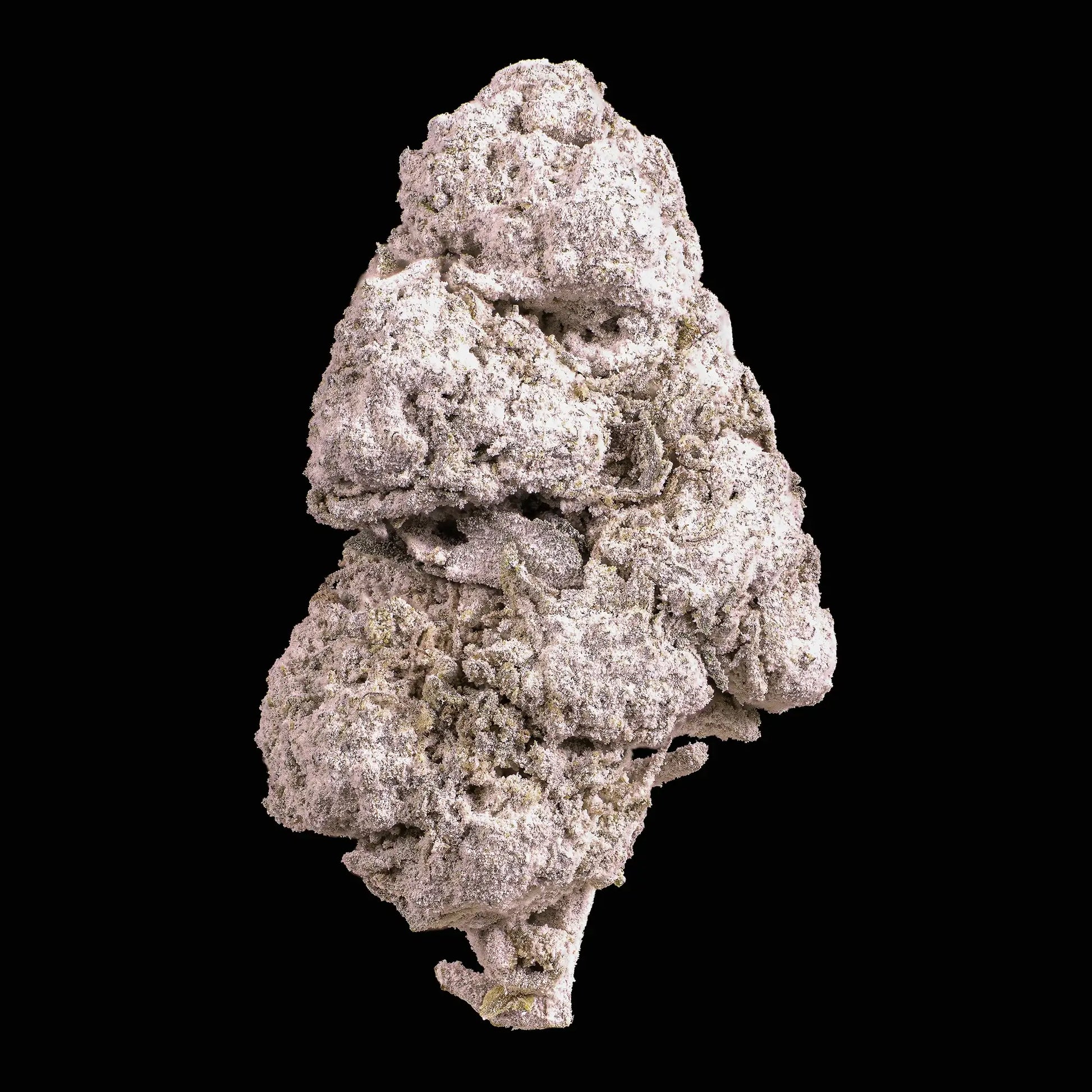 Dank Sinatra 25% THCA indoor flower with dense frosted trichome coverage