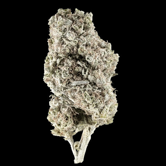 N°1 Sativa THCA flower grown in Italian glasshouse with dense trichome coverage