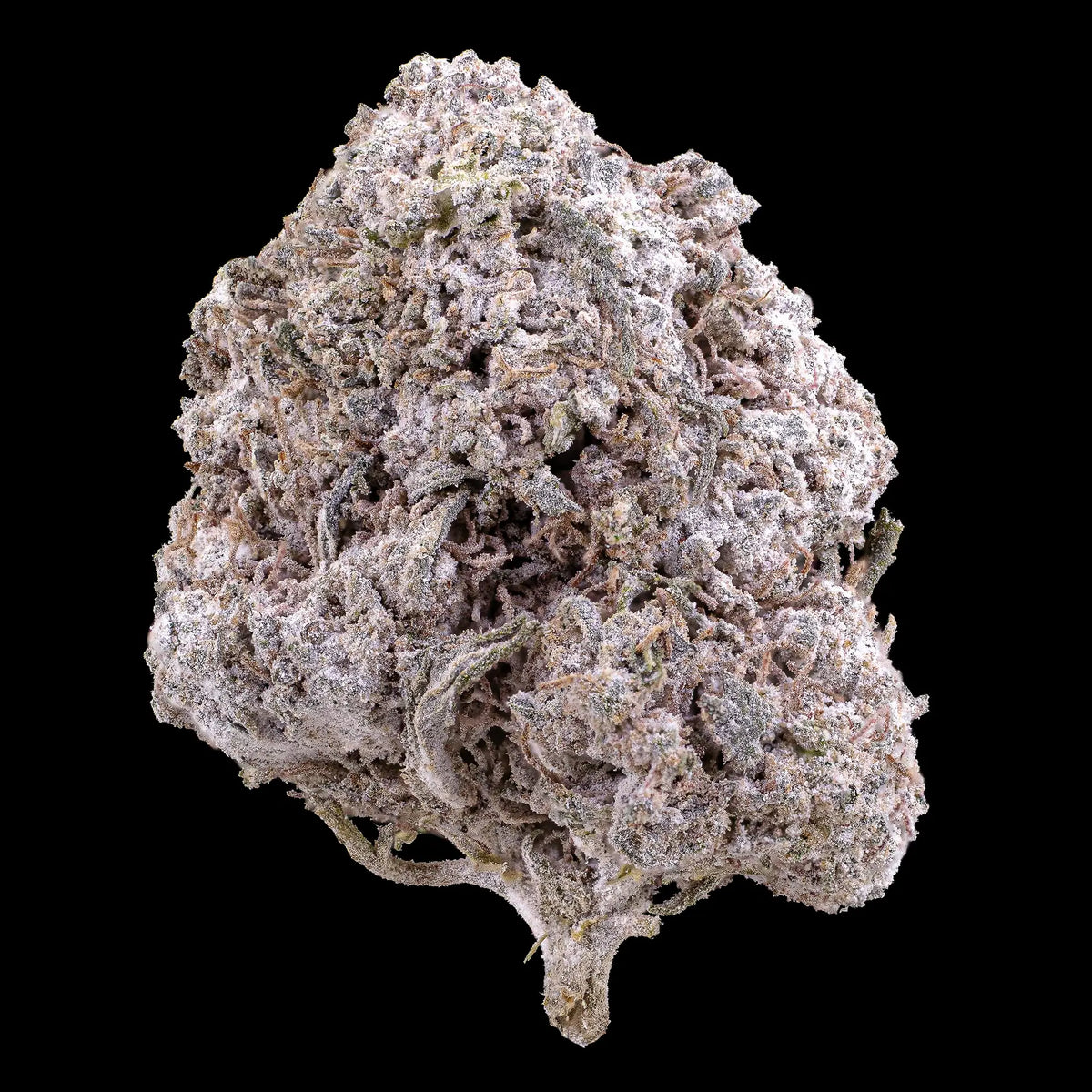 Odense O.G. 23% THCA indoor flower with dense trichome coverage