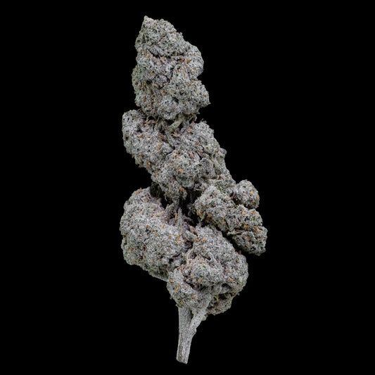 Papaya Runtz THCA flower with dense trichome coverage and hybrid structure