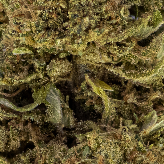 Makrofotografi af Funky Flower CBD-topskud med synlige trichomer og fine grønne nuancer. Strukturen fremstår tæt og krystalliseret med lette orange pistiller og støvede, hvide krystaller.