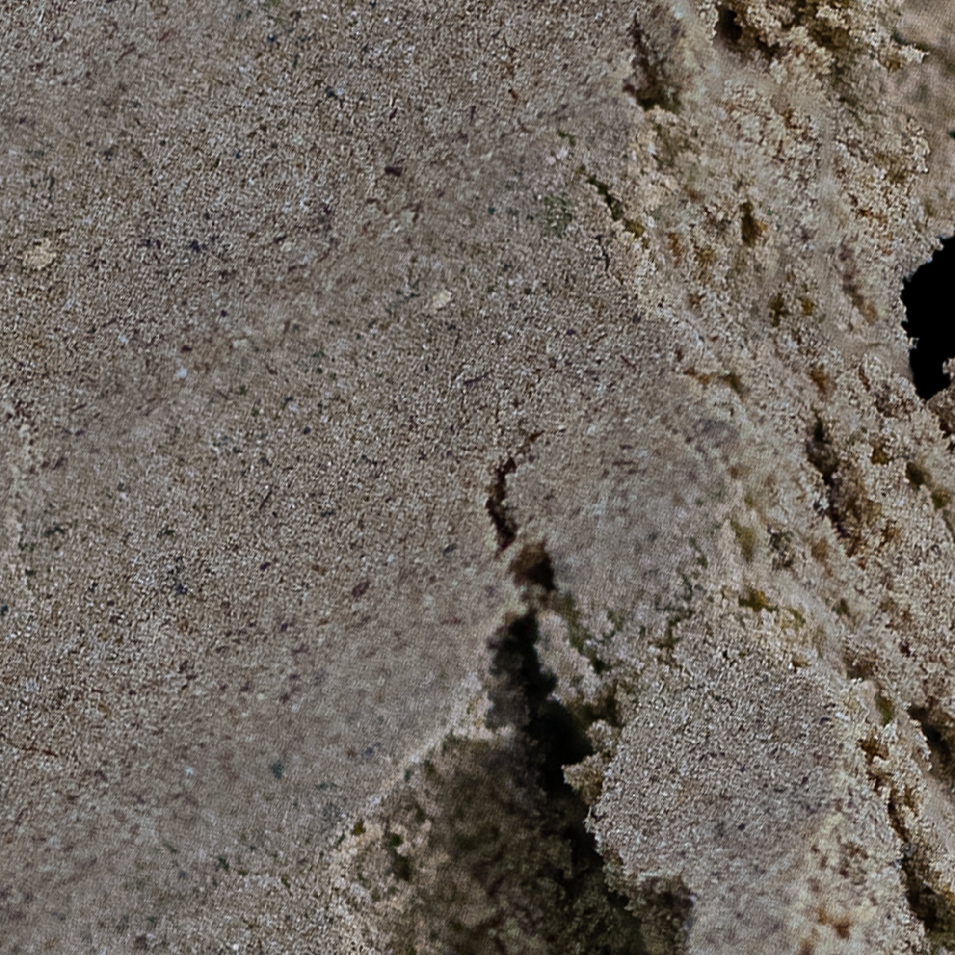 Close-up af La Mousse hash med tydelig tekstur, fine partikler og lys, naturlig farvetone.