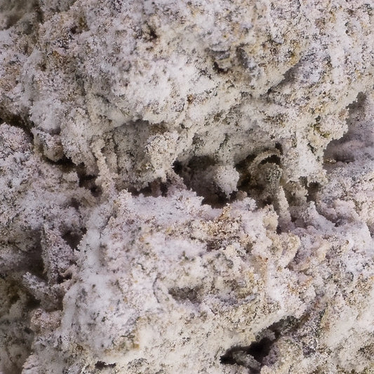 weedshop la push pop thca bud macro shot trichomes